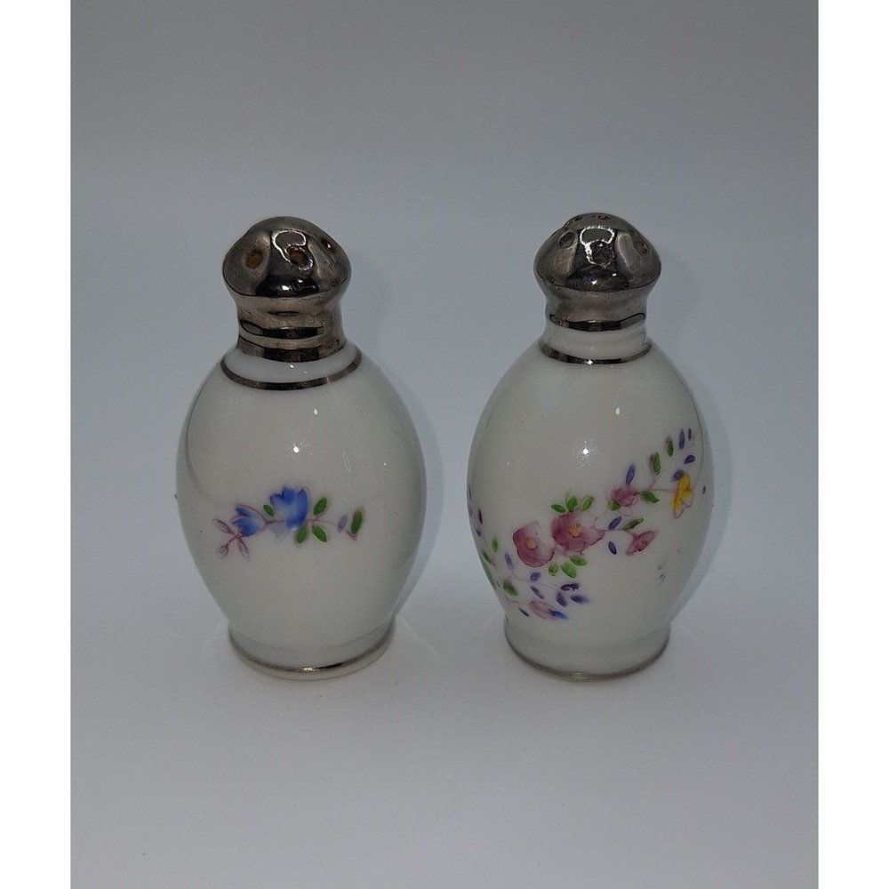 Hinode Salt & Pepper Shakers Hand Painted Florals Flowers Japan Refined China